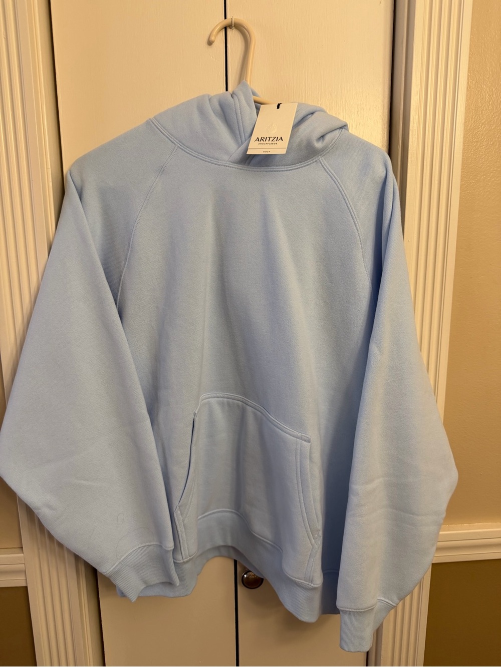 Aritzia Villa Blue Hoodie